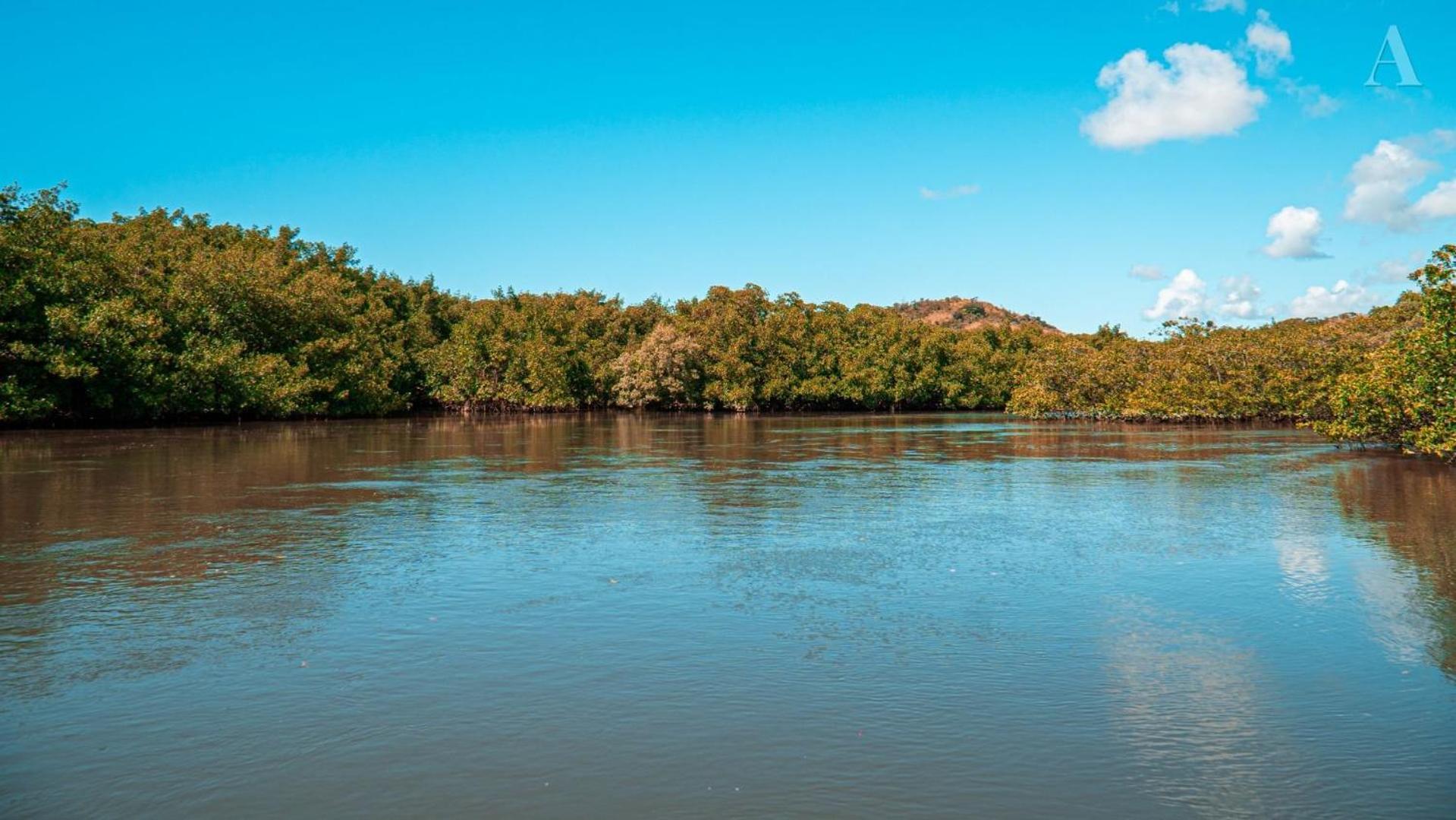 Pousada Recanto Sol Nascente, Luxo E Proximidade Com A Natureza Hotel Rio Formoso Luaran gambar