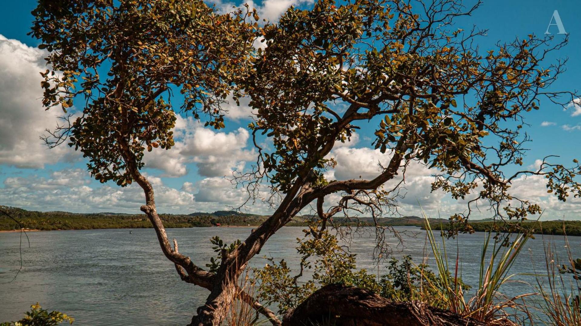 Pousada Recanto Sol Nascente, Luxo E Proximidade Com A Natureza Hotel Rio Formoso Luaran gambar