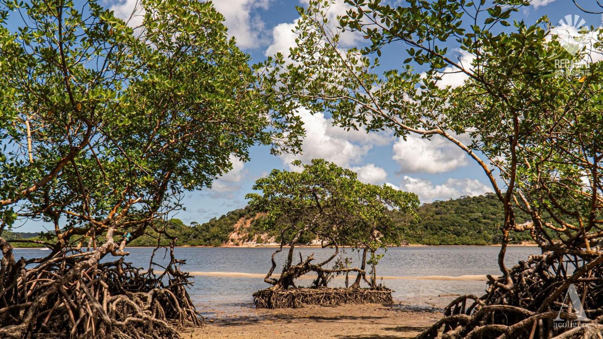 Pousada Recanto Sol Nascente, Luxo E Proximidade Com A Natureza Hotel Rio Formoso Luaran gambar