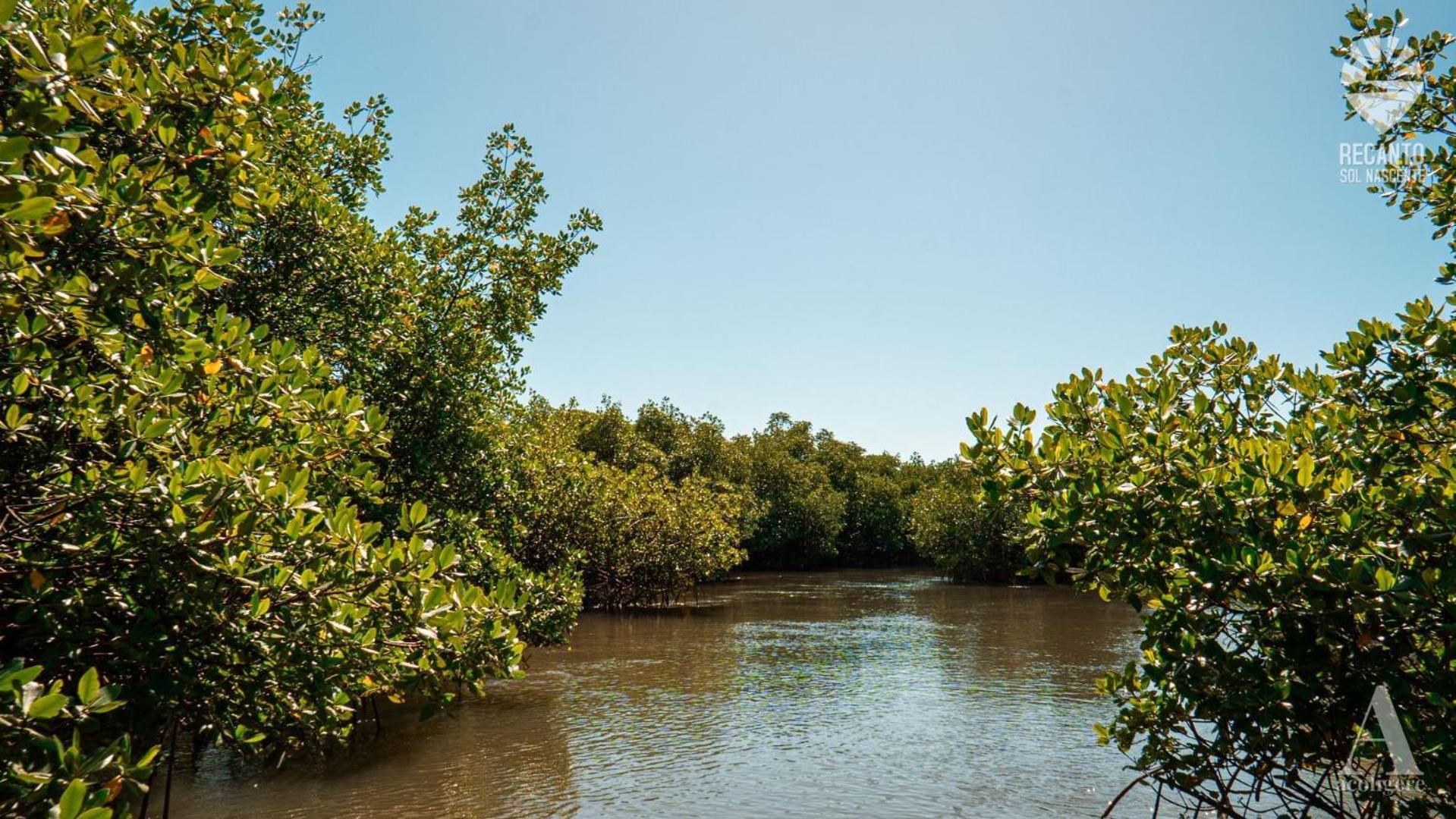 Pousada Recanto Sol Nascente, Luxo E Proximidade Com A Natureza Hotel Rio Formoso Luaran gambar