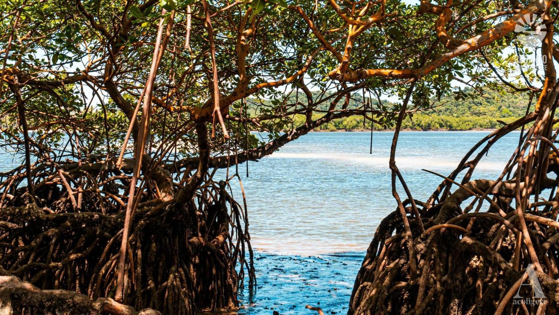 Pousada Recanto Sol Nascente, Luxo E Proximidade Com A Natureza Hotel Rio Formoso Luaran gambar